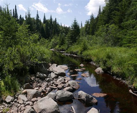 Adirondack Hiking Northville Lake Placid Trail Lake Durant To Long Lake