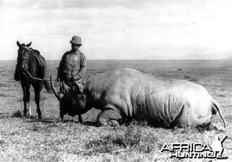 Theodore Teddy Roosevelt African Safari & Scientific Expedition ...