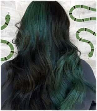 25 Amazing Dark Green Hair Color Ideas For Dark Skin Hair Everyday Review