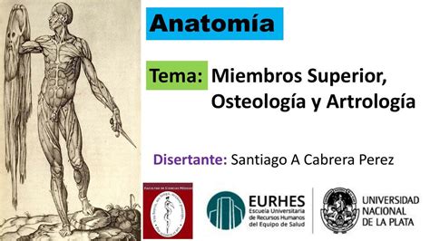 Miembro Superior Osteologia y Artrologia Enfermería uDocz