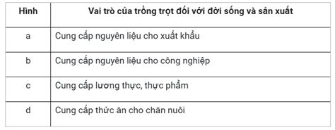 Quan Sát Các Hình ảnh Dưới đây Và điền Vai Trò Của Trồng Trọt Trong Mỗi