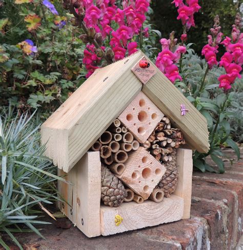 Buy An Insect House Insect House