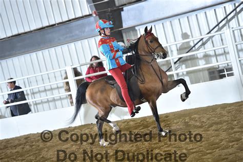 Sunday Morning 9:00am - Classes #108-123 - 122.) Hackney Pony Show ...