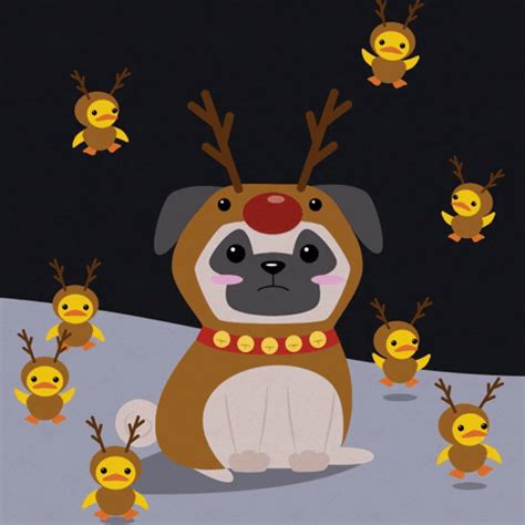 Holiday Pug GIFs - Get the best GIF on GIPHY