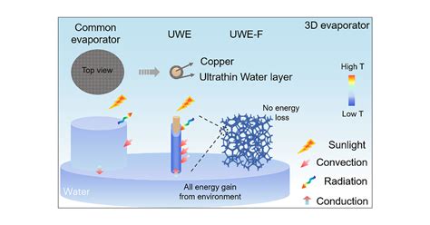 Ultrathin Water Layer Conservation by “Nano-forest” in a Three ... 