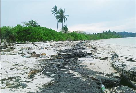 Limbah Minyak Hitam Lagi Lagi Cemari Kawasan Pantai Di Bintan Ulasan Co