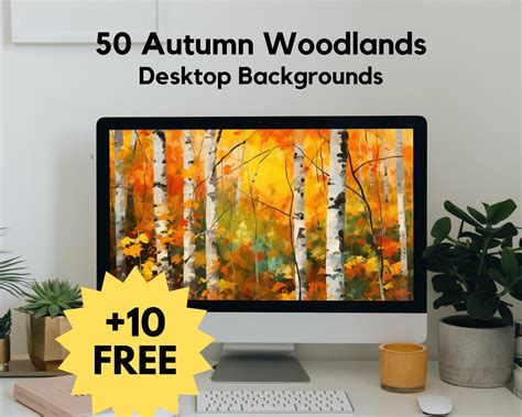 50 Fall Forest Desktop Backgrounds Artistic 4k Autumn Woods Wallpapers