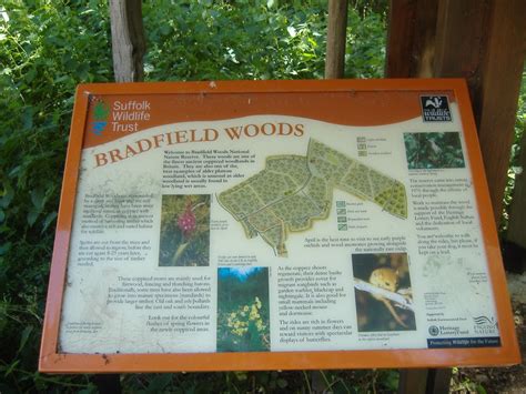 Bradfield Woods Suffolk Running In Suffolk