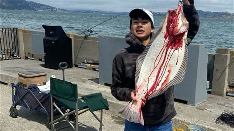 California Halibut Using Live Bait San Francisco Pier Youtube