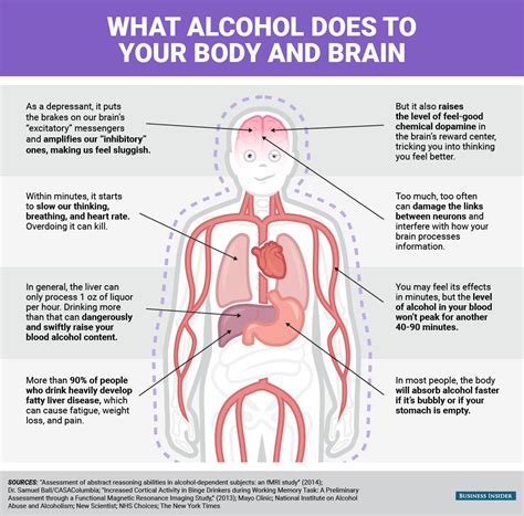 What Alcohol Does To Your Body And Brain Business Insider India