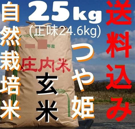 自然栽培 氷温熟成 無農薬 つや姫 令和4年産 山形県産 庄内米 玄米 25kg メルカリ