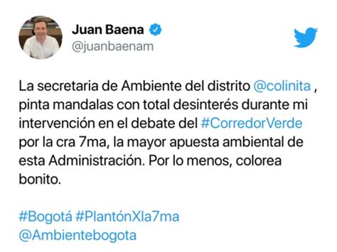 Polémica Por Funcionaria Distrital Que Pintaba Mandalas En Pleno Debate