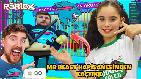 Mr Beast Hap Shanes Nden Ka Tik El F Le Roblox Barry Obby Youtube