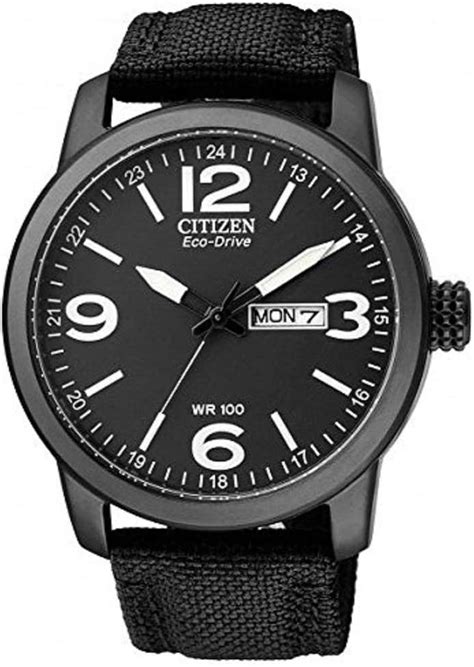 Citizen Eco Drive Mens Strap Watch Black Ion Plated Strap Clothing Shoes And Jewelry