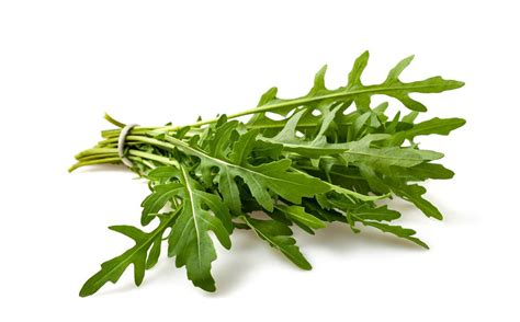 Rucola Samen Wilde Rauke Salatsamen Salat Ca Kaufland De