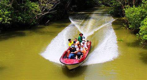 Explore Mangrove Forest Can Gio Monkey Island By Boat Trekking Ho