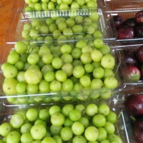 Jual Buah Cermai Segar Belimbing Wuluh Lansung Petik Shopee Indonesia