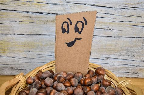 Emoji Smiley Face Hazelnuts Free Photo On Pixabay Pixabay