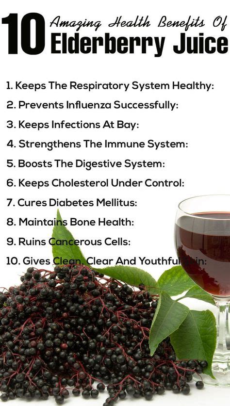 12 Amazing Benefits Of Elderberry For Skin Hair And Health