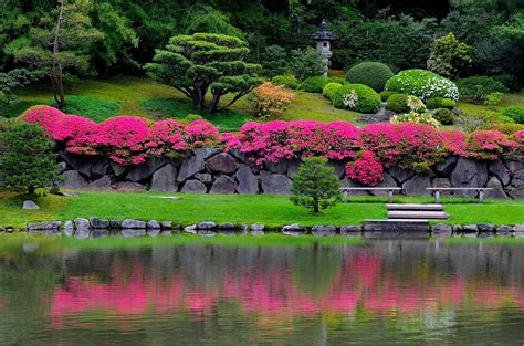 The Power of Stone in the Seattle Japanese Garden — Seattle Japanese Garden