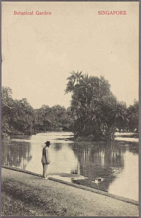 Botanical Garden Singapore Nypl Digital Collections