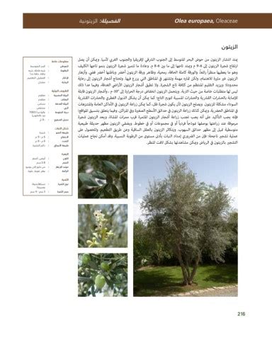 Riyadh Plants Manual Ar Ci Oy الصفحة 217 PDF على الإنترنت