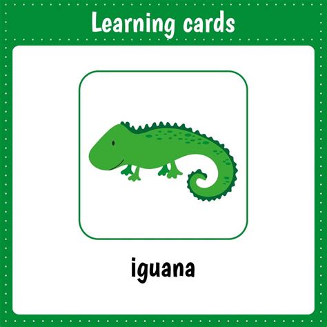 Learning cards for kids. Animals. Iguana 7306951 Vector Art at Vecteezy