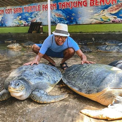 Pesona Pulau Penyu Tanjung Benoa Bali