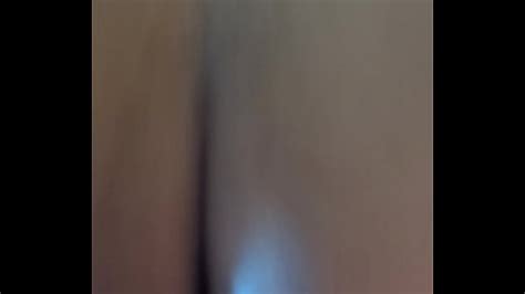 Vídeos perrito página XVIDEOS