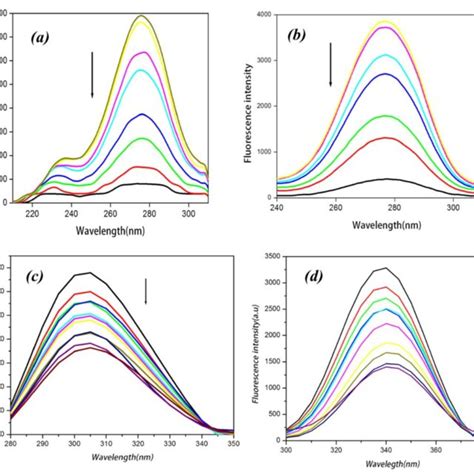 Synchronous Fluorescence Spectrum Of Bsa In Presence Of Complex Rbb At Download Scientific