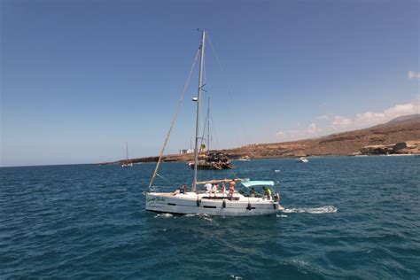 Tenerife Excursi N En Yate Para Avistar Ballenas Y Hacer Snorkel