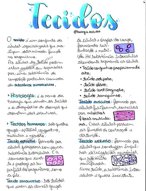 MAPA MENTAL SOBRE TECIDOS DO CORPO HUMANO - Maps4Study