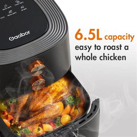 Gaabor L Air Fryer Stainless Steel Electric Oven Tv Home