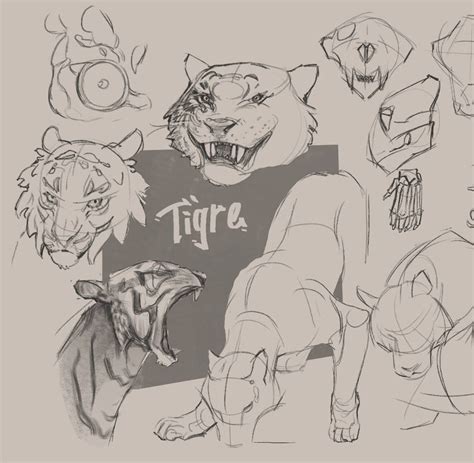 Tiger sketches by 3Ts-art on DeviantArt