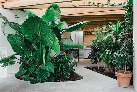 8 Lush Homes To Inspire Your Own Indoor Plant Party