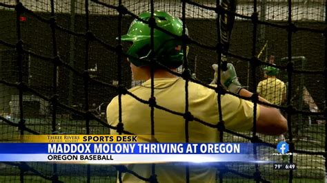 Maddox Molony Thriving With Oregon Baseball Youtube