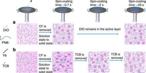 Fig 5 A Schematic Diagram Il [image] Eurekalert Science News Releases