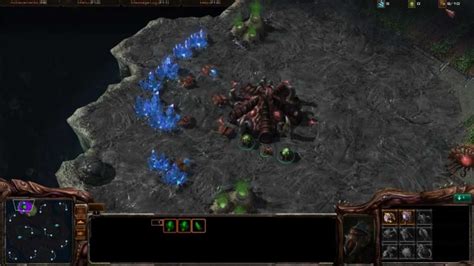 Ymg Starcraft Tutorials Zerg Hatchery First Opening Youtube