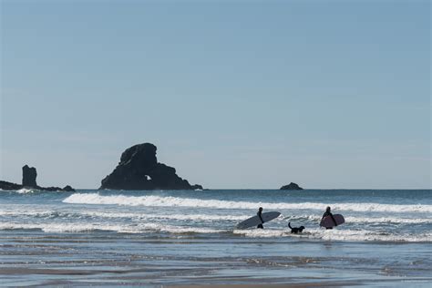 Rainforest, rocks and beaches - Hiking in Ecola state Park