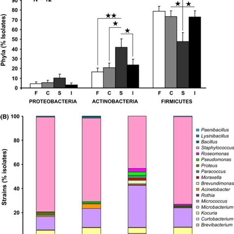 Distribution And Relative Abundance In The Different Phyla A And