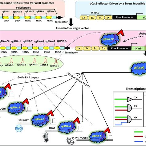 Engineering Dcas9 For Epigenetic Modifications Download Scientific