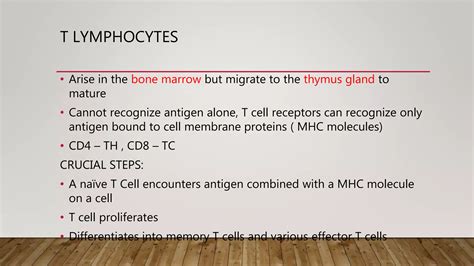 Approach To A Case Of Lymphocytosis Ppt