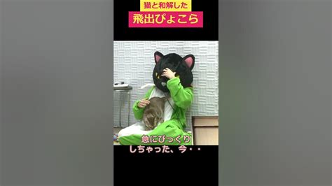 【深層組飛出ぴょこら】猫と和解した【切り抜き超美麗】 Youtube