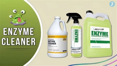 10 Best Enzyme Cleaner For Deep Cleaning In 2023