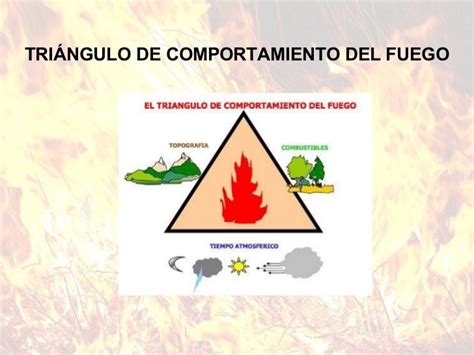 ¿de Qué Factores Depende La Propagación Del Fuego