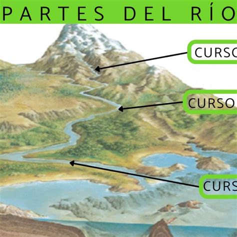 Canal Gusano Vacaciones Cuales Son Las Partes De Un Rio Una Oraci N