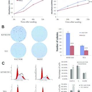 Restoration Of Naked Cuticle Homolog 2 NKD2 Expression Inhibits Cell