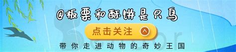 霍氏不死蟲真實存在過嗎？遠古時期的巨蟲，到底是什麼樣的生物 每日頭條