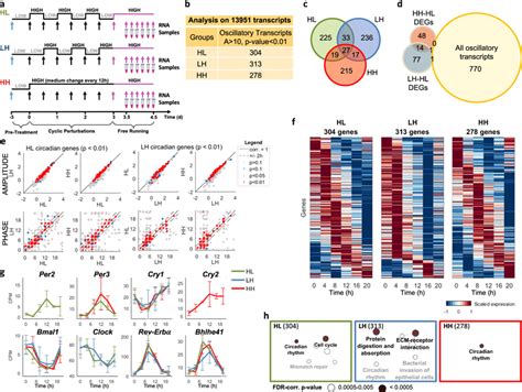 The Circadian Transcriptome Is Reprogrammed By Cyclic Metabolic