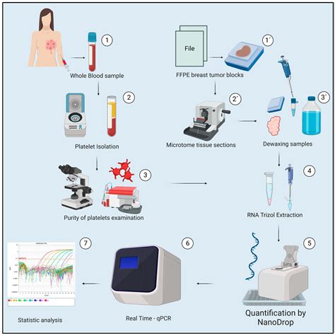 Ijms Free Full Text Gene Expression Behavior Of A Set Of Genes In